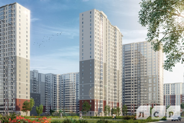 Цивилизация