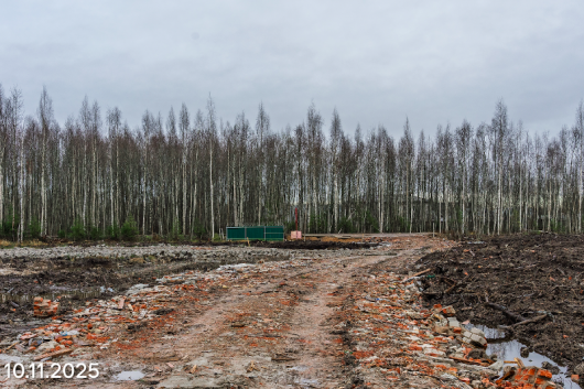 ЖК Ягодное Река Парк