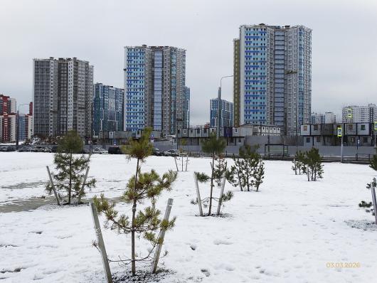 ЖК "Огни Залива" IV очередь